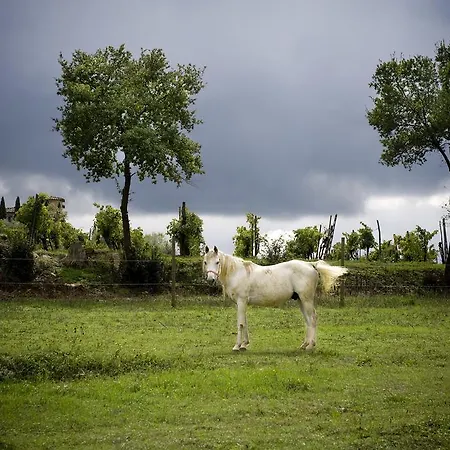 Farma Fattoria Casabianca