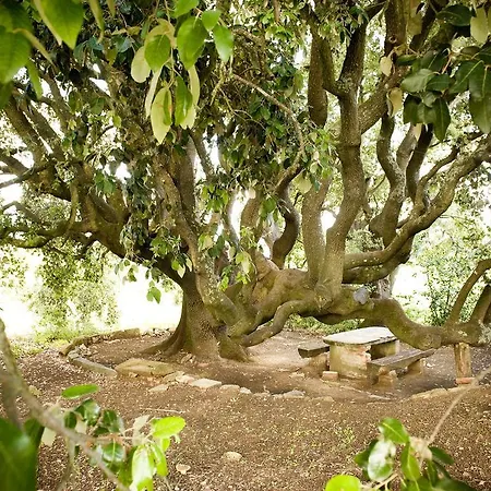 Fattoria Casabianca Κατάλυμα σε φάρμα *