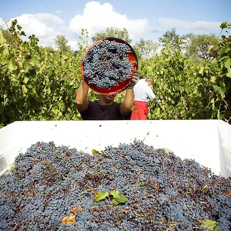 Fattoria Casabianca