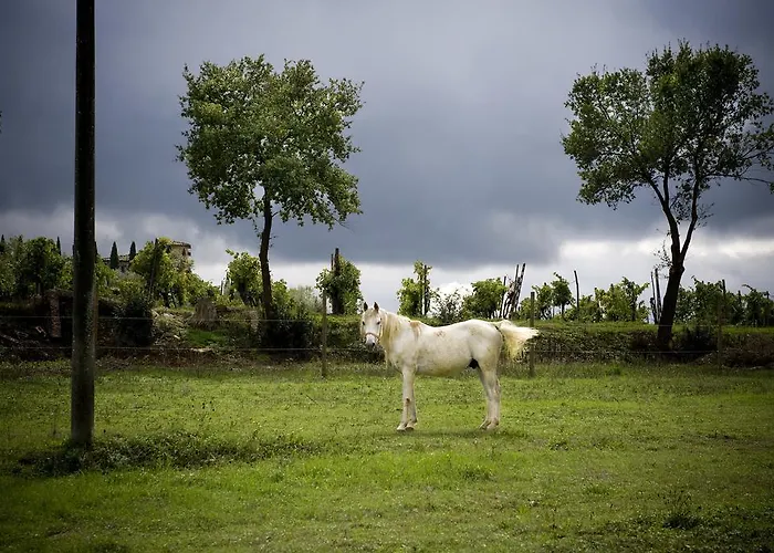 Lantgård Fattoria Casabianca
